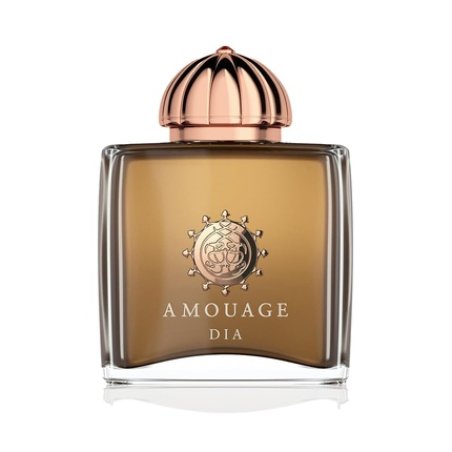 AMOUAGE Dia Woman Eau de Parfum 100ml