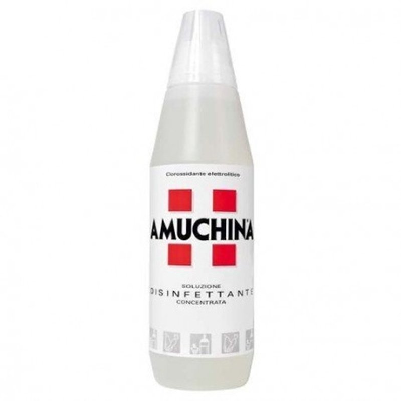 Amuchina Disinfectant 1L