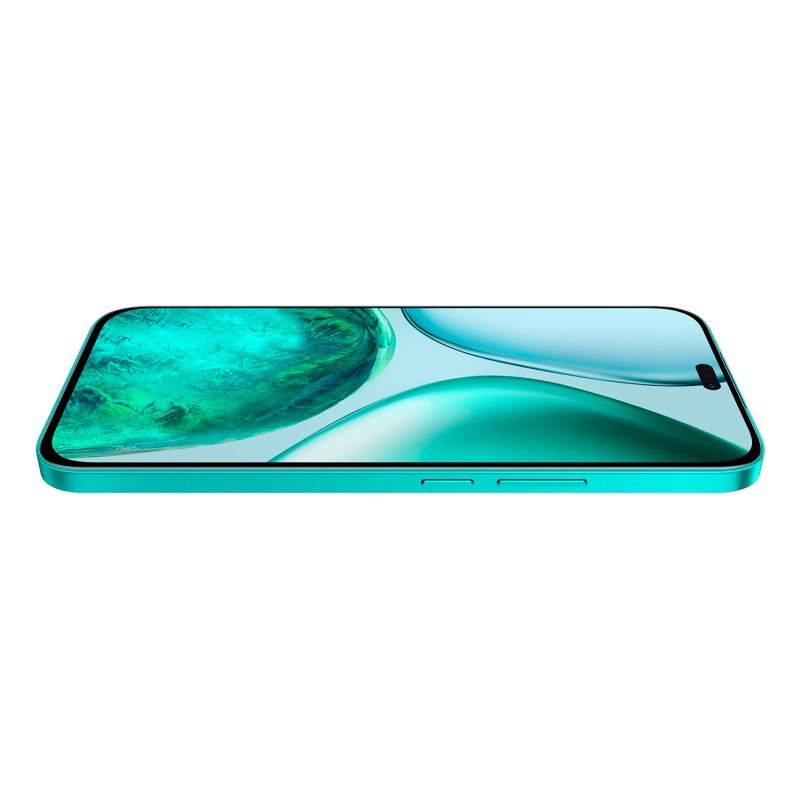 Honor X8c 17 cm (6.7") Double SIM MagicOS 9.0 4G USB Type-C 8 Go 256 Go 5000 mAh Vert