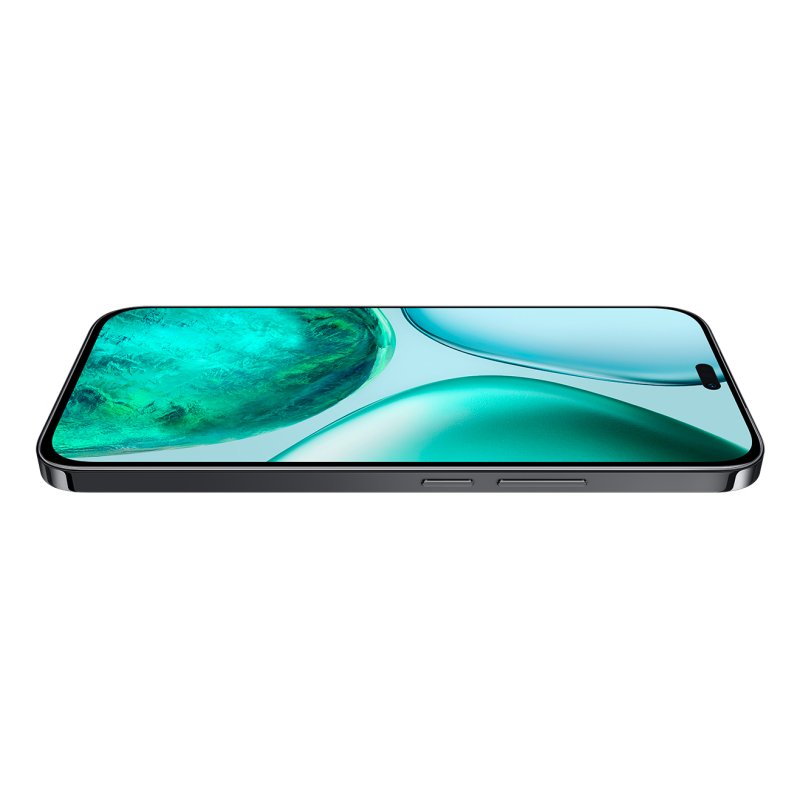 Honor X8с 17 cm (6.7") Double SIM MagicOS 9.0 4G USB Type-C 8 Go 256 Go 5000 mAh Noir