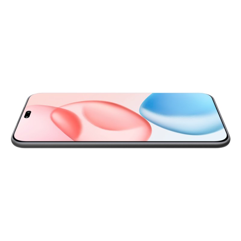 Honor 400 Pro 17 cm (6.7") MagicOS 9.0 5G 12 Go 512 Go 5300 mAh Noir