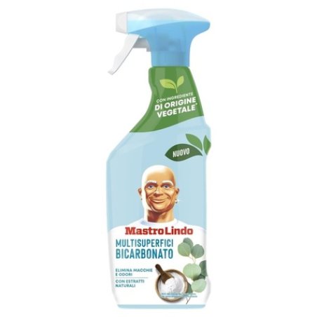 Mastrolindo Spray 500 Bicarbon Air Freshener
