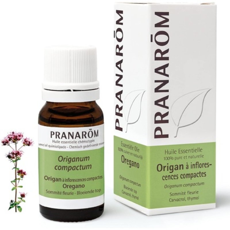 Pranarôm Oregano Essential Oil with Compact Inflorescences 10ml