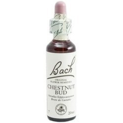 Flores De Bach Original Chestnut Bud 20ml