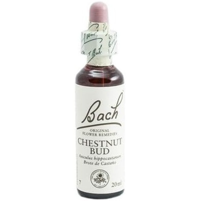 Flores De Bach Original Chestnut Bud 20ml