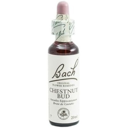Flores De Bach Original Chestnut Bud 20ml
