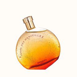 Hermes L'Ambre des Merveilles Eau De Parfum 100 ml