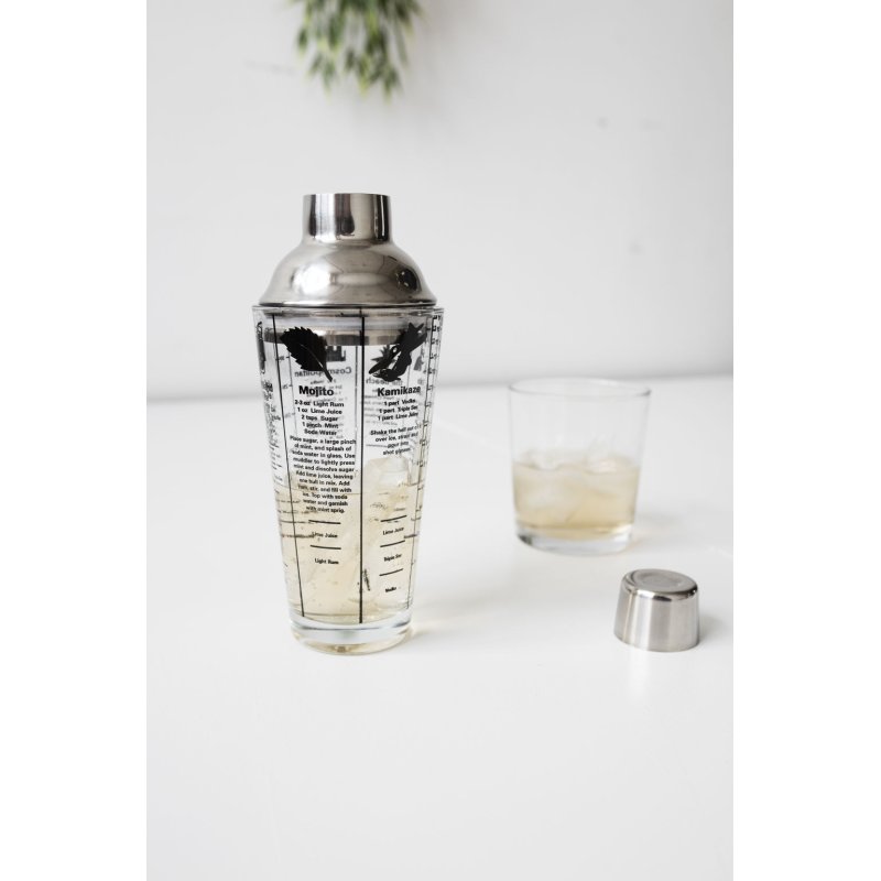 Mix Master Cocktail Shaker 16OZ (BA22)