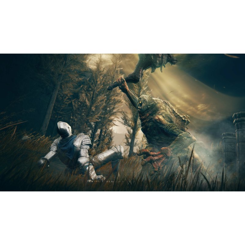 BANDAI NAMCO Entertainment Elden Ring: Shadow of the Erdtree - Collector's Edition Collectionneurs PC