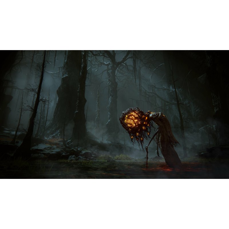 BANDAI NAMCO Entertainment Elden Ring: Shadow of the Erdtree - Collector's Edition Collectors PC