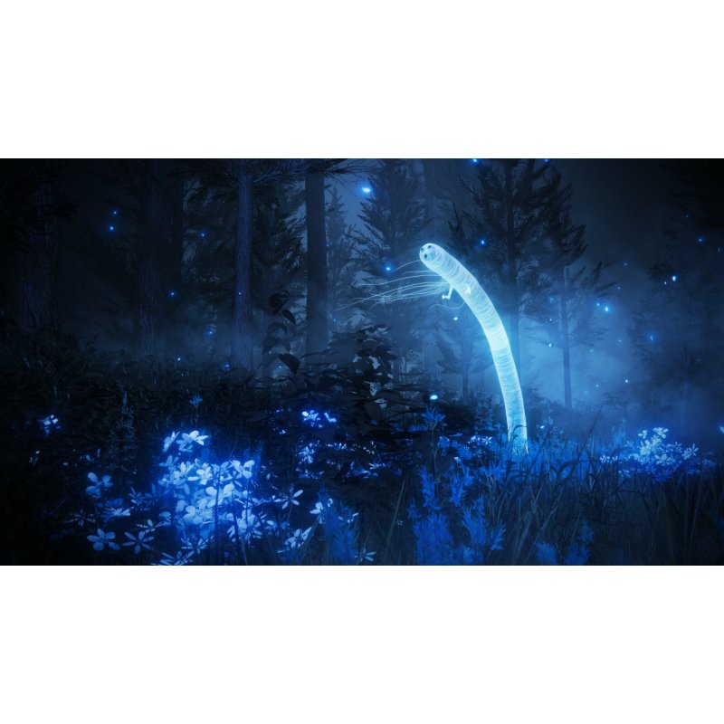 ELDEN RING Shadow of the Erdtree (Collector Edition)