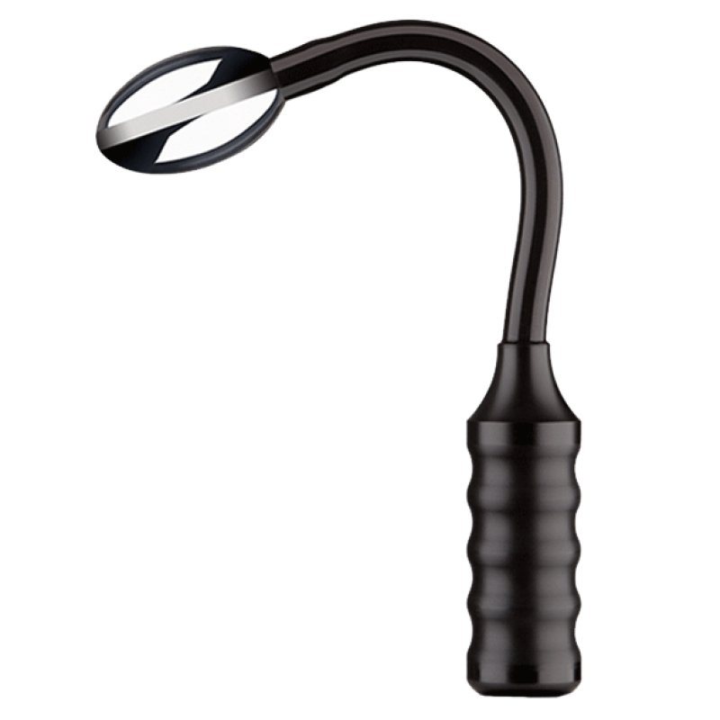 ElectraStim Depth Charge Flexible Electro Probe Prostate massager Black Metal, Silicon 1 pc(s)