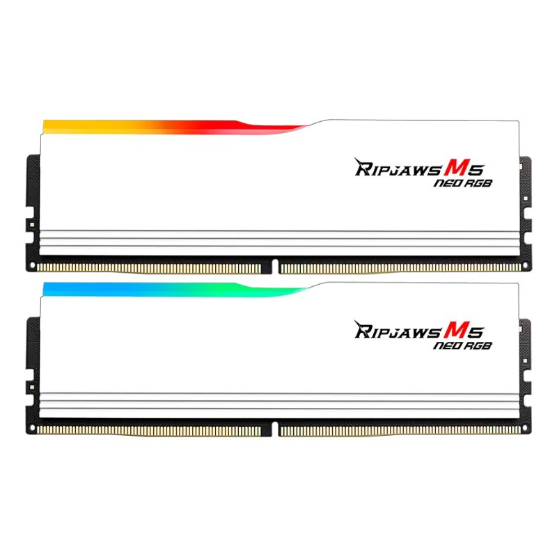G.Skill Ripjaws M5 RGB F5-6000J3648D16GX2-RM5NRW module de mémoire 32 Go 2 x 16 Go DDR5 6000 MT/s