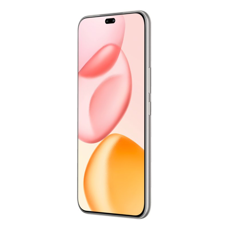 Honor 400 Pro 17 cm (6.7") MagicOS 9.0 5G 12 GB 512 GB 5300 mAh Grey