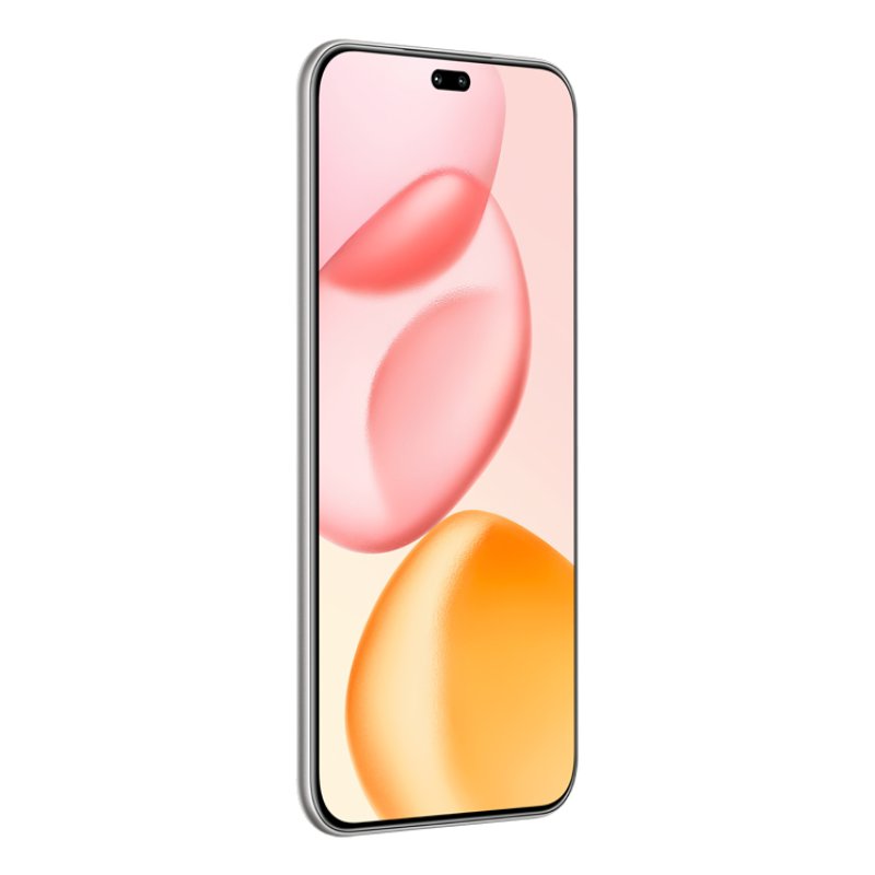 Honor 400 Pro 17 cm (6.7") MagicOS 9.0 5G 12 GB 512 GB 5300 mAh Grey