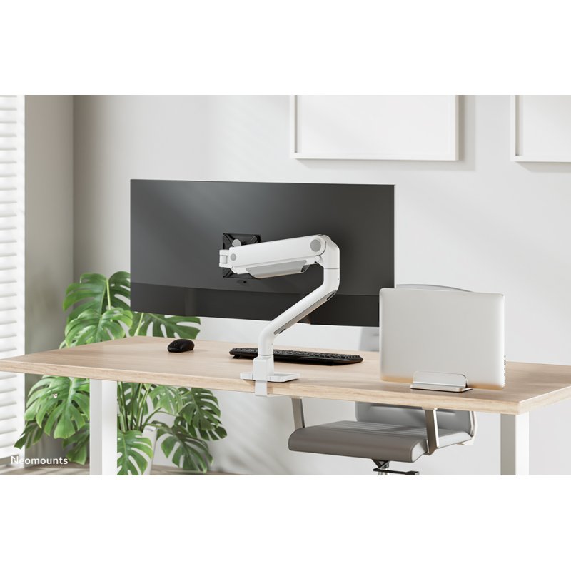 Neomounts NSLS300SILVER Laptop holder 11-17" - universal