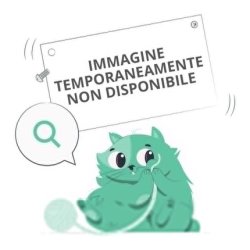 BioNike Defence Color Lovely Touch Liquid Blush 401 Rose 5ml