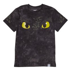 Dreamworks by Loungefly Tee T-Shirt Unisexe How to Train your Dragon (XL)
