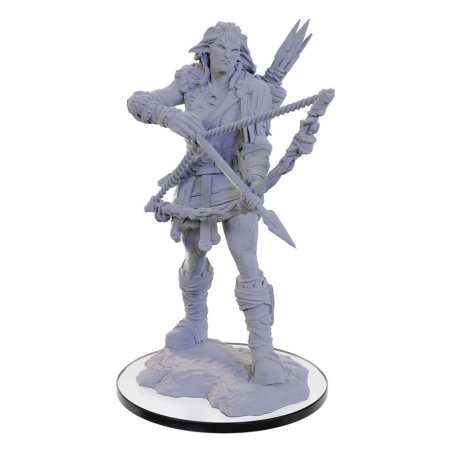 Pathfinder Deep Cuts miniature à peindre Wood Giant