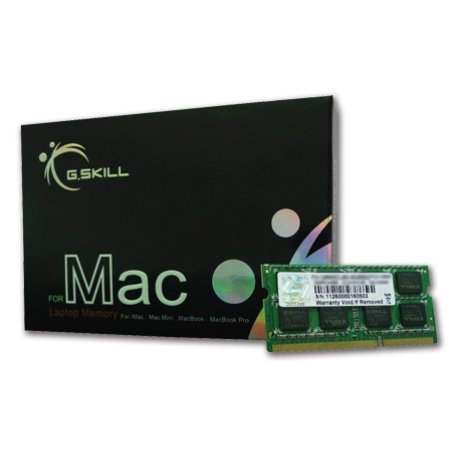 G.Skill 8GB DDR3-1600 memory module 1 x 8 GB