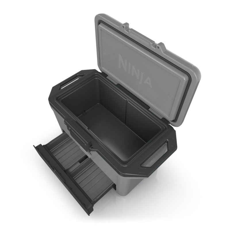 Ninja FB151EUGY glacière 47 L Gris