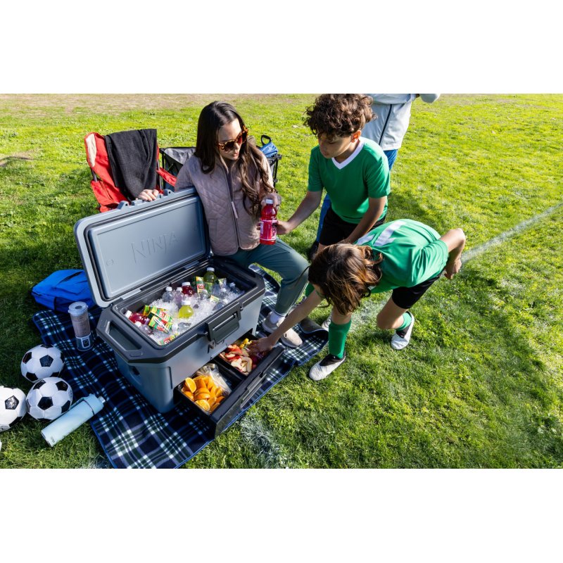 Ninja FB151EUGY cool box 47 L Grey