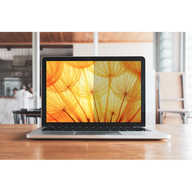 3M Bright Screen Privacy Filter for Dell™ XPS™ 16, 16:10, BPNDE007