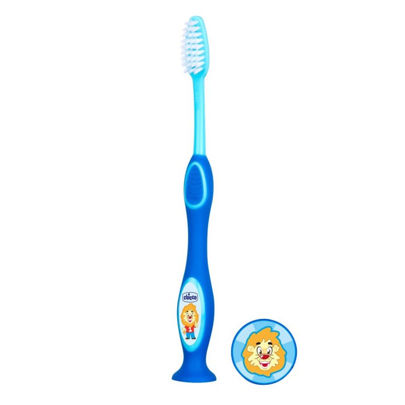 Set Dental Azul 36m
