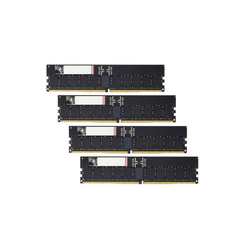 G.Skill Aegis 5 F5-6000R3036G48GQ4-G5N module de mémoire 192 Go 4 x 48 Go DDR5 6000 MT/s ECC