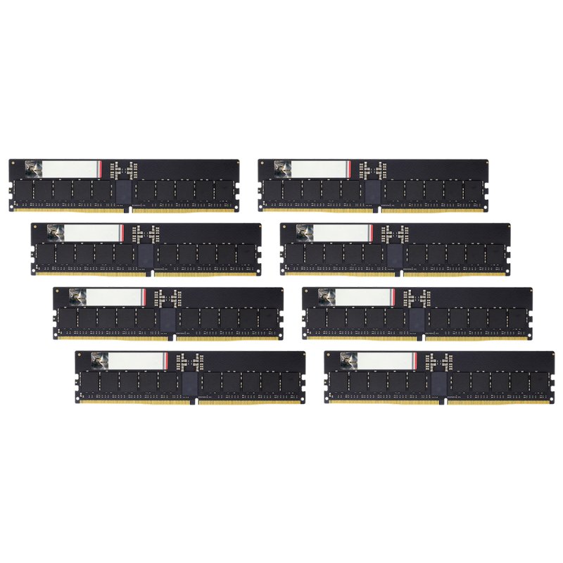 G.Skill Aegis 5 F5-6400R3239G32GE8-G5N module de mémoire 256 Go 8 x 32 Go DDR5 6400 MT/s ECC