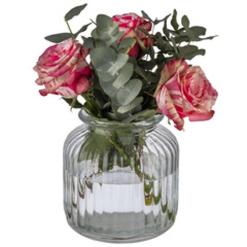 APS Bocal COOKIEGO, 3 litres