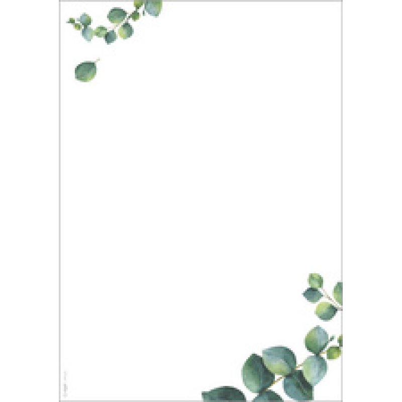 sigel Design-Papier "Eucalyptus", DIN A4, 90 g/qm, 2-spaltig