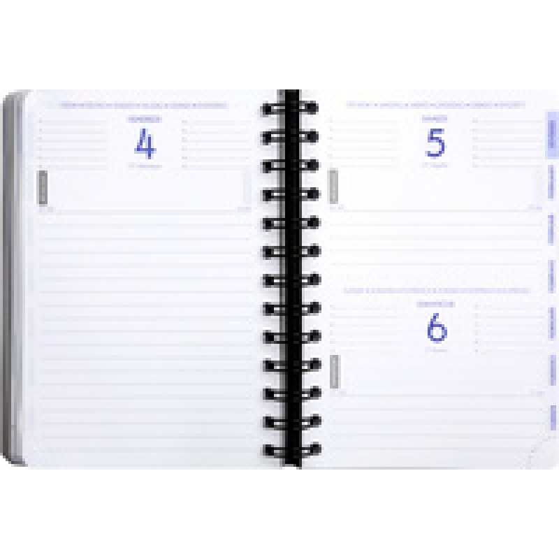 EXACOMPTA Agenda scolaire Forum Linicolor, 2025/2026, violet