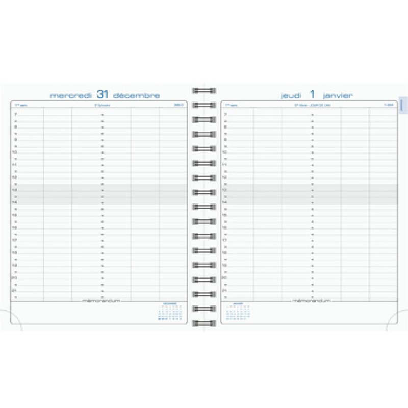 EXACOMPTA Agenda "La journée planifiée 22S", 2026, gris