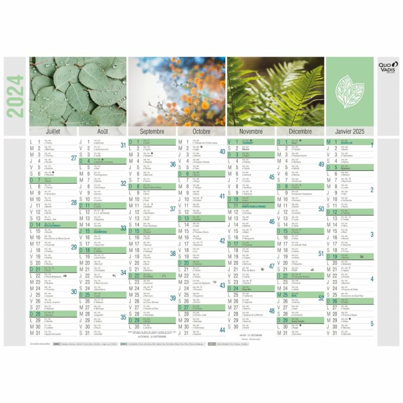 Quo Vadis 238148Q calendrier