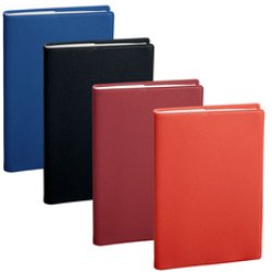 QUO VADIS Agenda de poche SAPA X, 100 x 150 mm, 2026,assorti