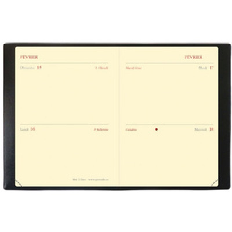 QUO VADIS Agenda de poche MINI 2 DAYS, 2026, Marlow bordeaux