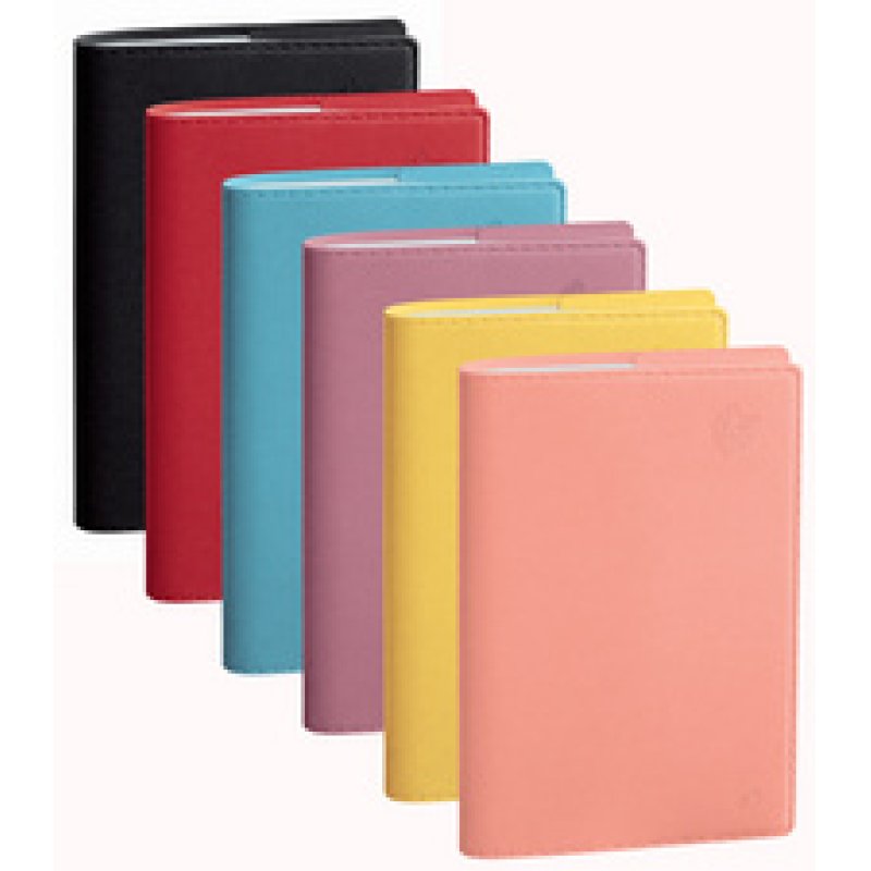 QUO VADIS Agenda "Ministre EQUOLOGY", 2026, pamplemousse