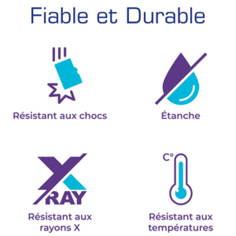 Carte microSDXC 256Go GAMER'S EDGE compatible Nintendo Switch