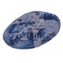 WEDO Gomme en plastique Pierre "DINO", set de 3