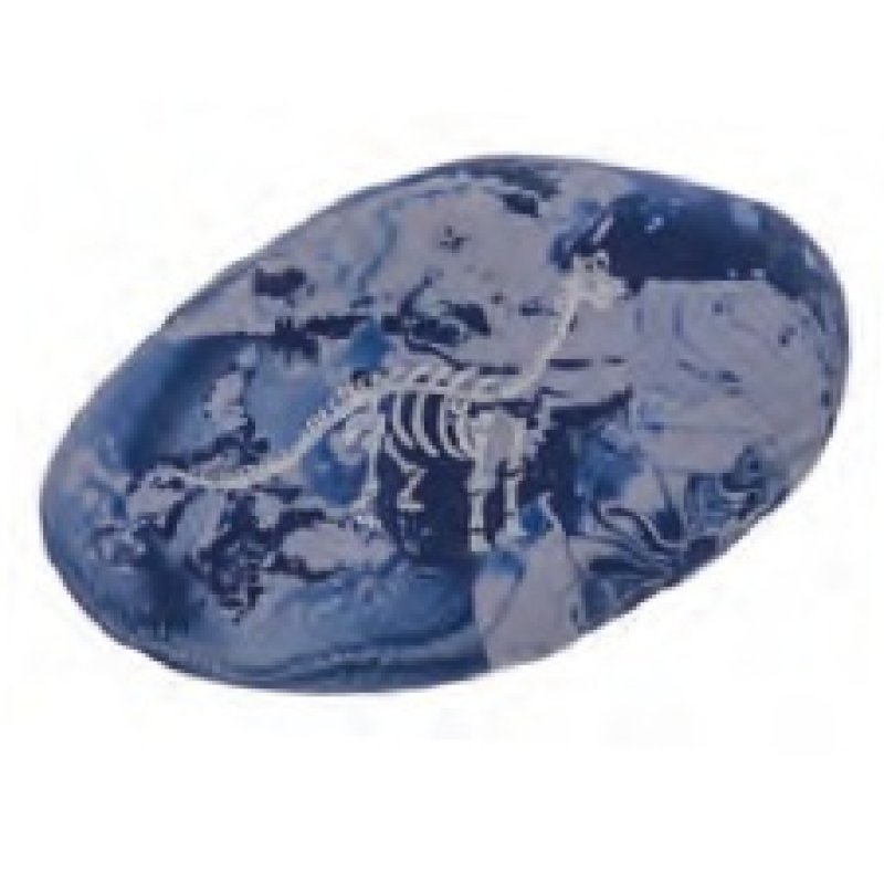 WEDO Gomme en plastique Pierre "DINO", set de 3