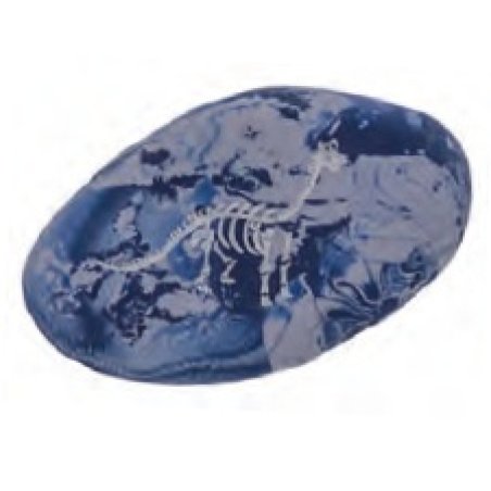 WEDO Gomme en plastique Pierre "DINO", set de 3