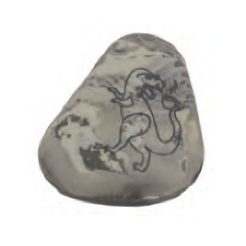 WEDO Gomme en plastique Pierre "DINO", set de 3