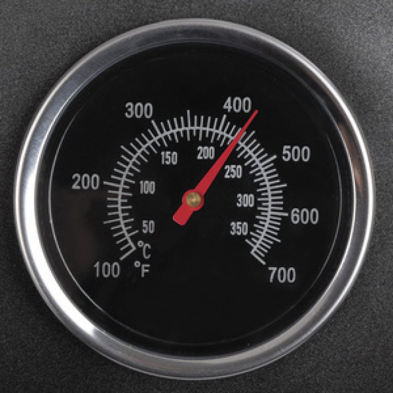 PROFI COOK Grill barbecue PC-BQS 1303, noir