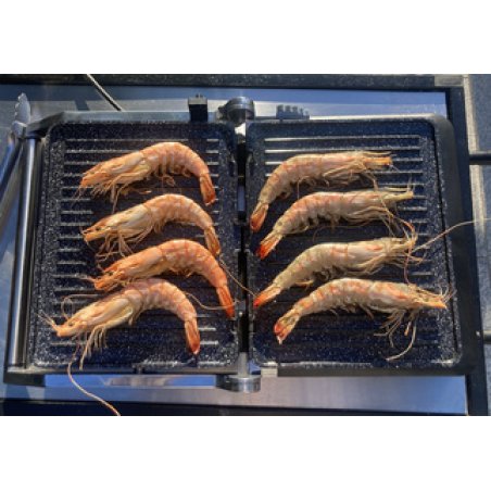 Little balance Gril Electronic Grill, 2.000 watts, noir