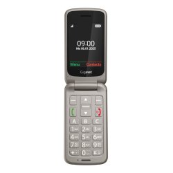 Gigaset GL595 Dual Sim Silver