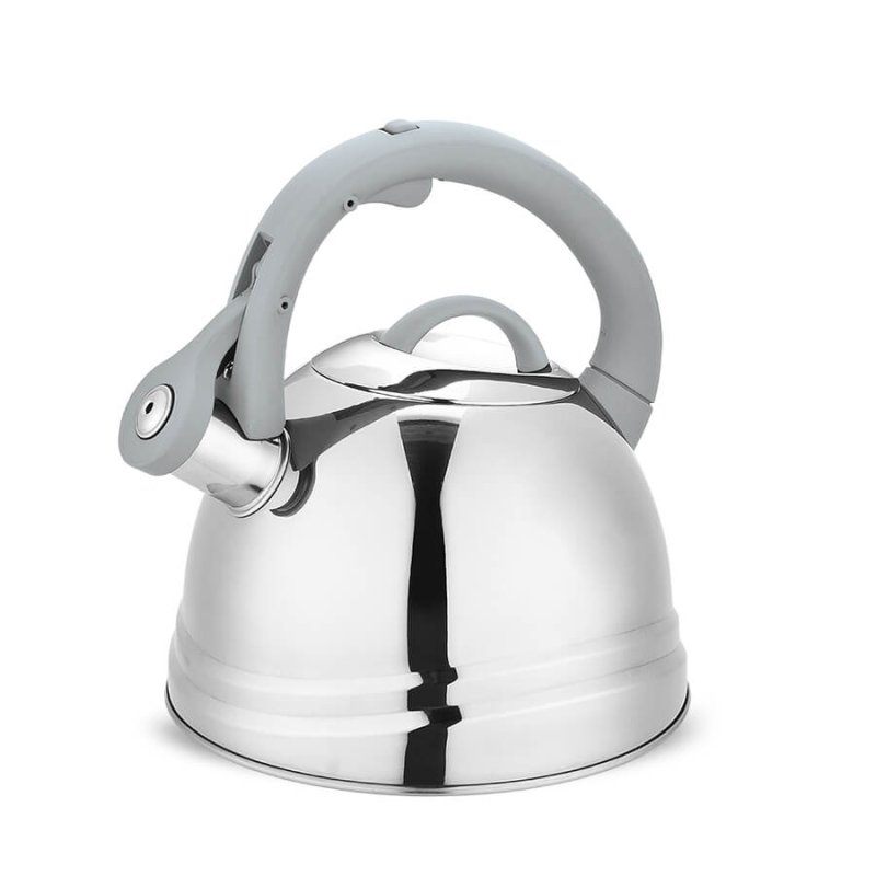 Feel Maestro MR-1304 kettle 2.5 L Grey, Stainless steel