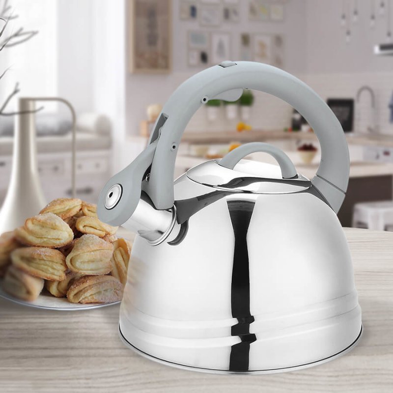 Feel Maestro MR-1304 kettle 2.5 L Grey, Stainless steel