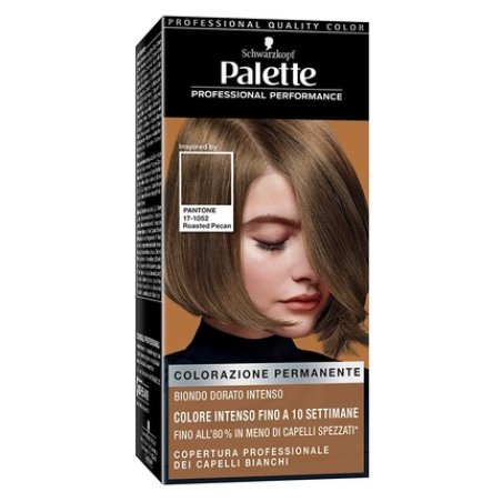 Schwarzkopf Palette Hair Color 6-66 Golden Blonde