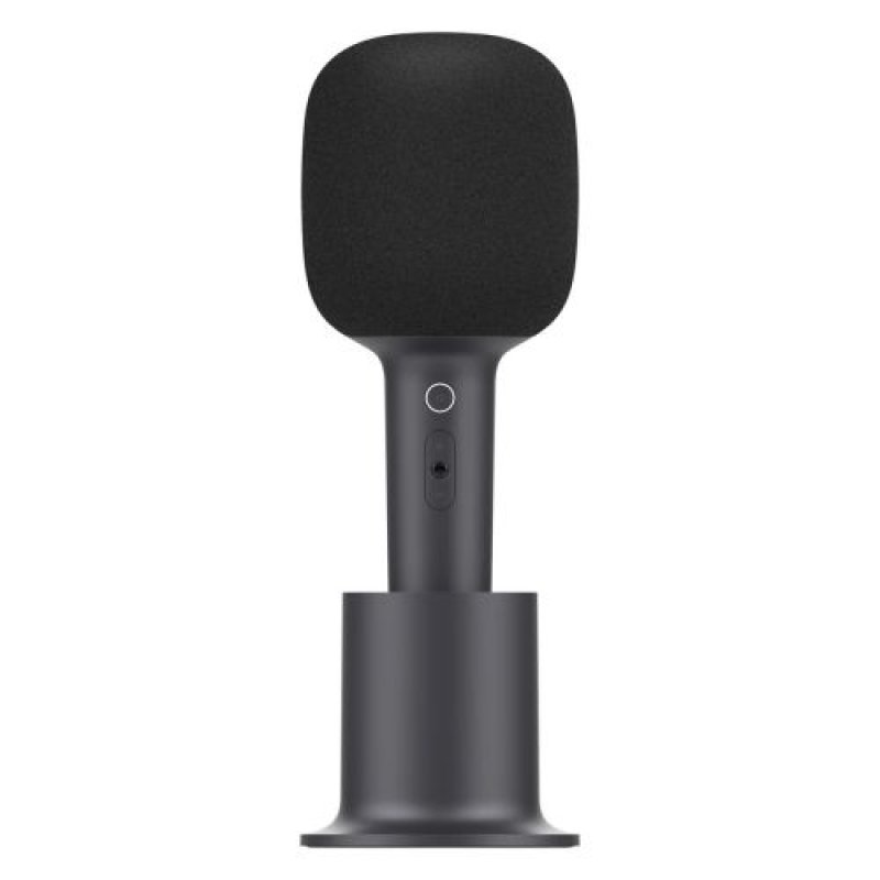 Karaoke Microphone